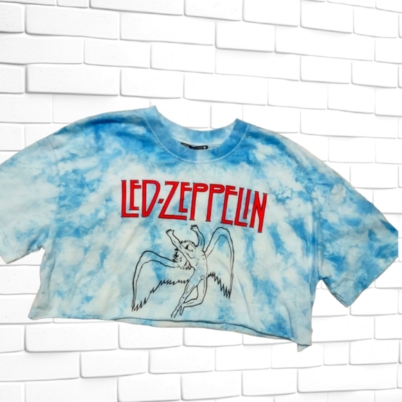 Zara Tops - Zara LED ZEPPELIN Crop Top